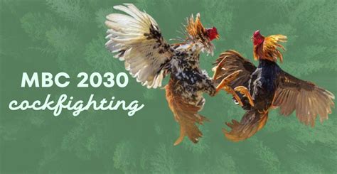 mbc2030|An Exciting Journey into MBC2030: Unleashing The Future.